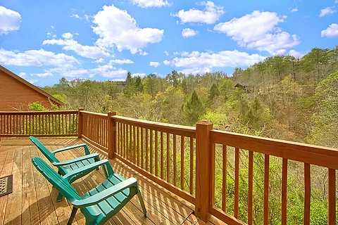 Rustic Cabin with Wooded View of the Mountains - A Beary Happy Place