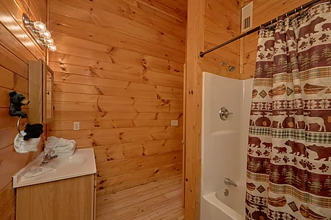 2 Bedroom Cabin with 2 Full Bathrooms Sleeps 6 - A Beary Special Place