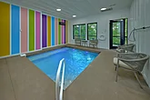 4 Bedroom Cabin with Private Indoor Pool 