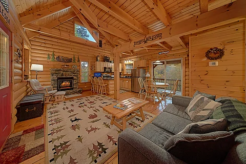 Wears Valley Cabin with Gas Fireplace - Aleska
