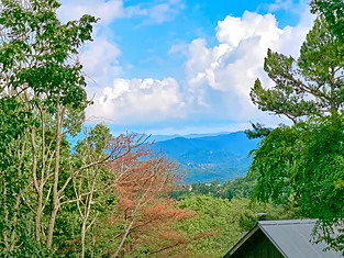 Featured Property Photo