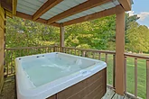1 bedroom cabin with hot tub