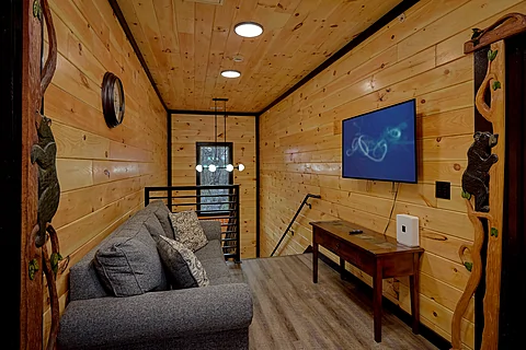 Living Area with Sleeper Sofa Sleeps 20 - Amazing Mountain II