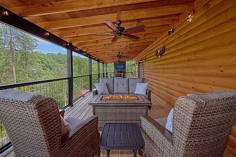 Group size cabin with outdoor fire pit and TV  - An Eagle's View