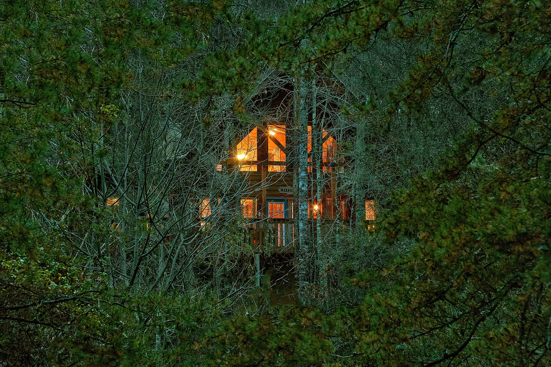 Bears Hideaway