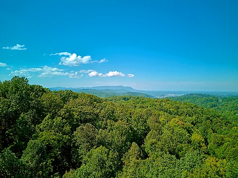 Mountain Views from 1 bedroom cabin deck - City Bear