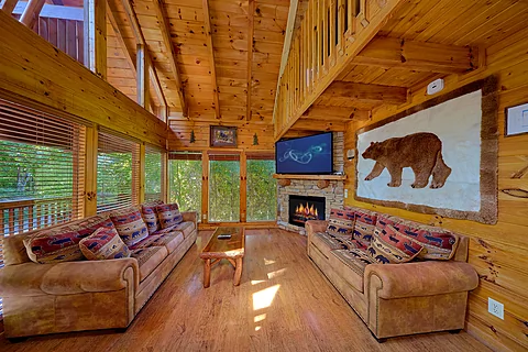 Cabin rental with fireplace and sleeper sofa - City Bear