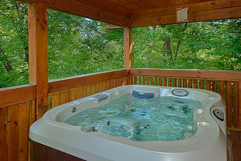 1 bedroom cabin with secluded hot tub - City Bear