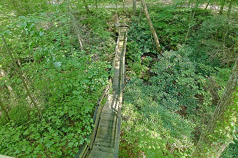 2 bedroom with a walkway by the creek - Creek Song