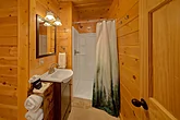 Full Bathroom with Walk-in Shower