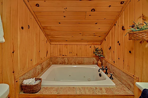 1 bedroom rental cabin with Jacuzzi tub - Dogwood