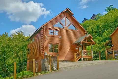 3 bedroom cabin in Black Bear Ridge cabin resort - Fun Zone