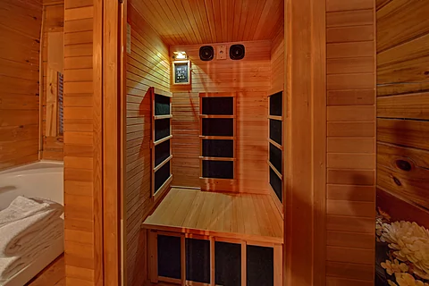 1 Bedroom Cabin in Pigeon Forge with Sauna - Lion's Den