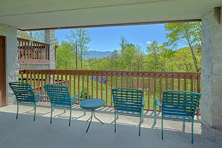 Black Bear Lane: 2 Bedroom Pigeon Forge Vacation Home Rental