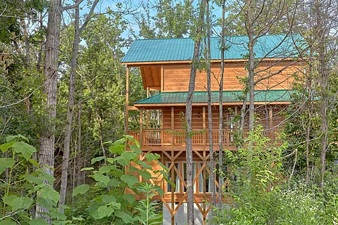 Luxurious Indoor Pool Cabin Sleeps 6 - Pool N Around