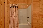 Shower and Tub Combo