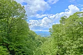 Private 1 Bedroom Cabin with wooded views