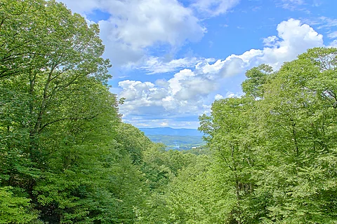 Private 1 Bedroom Cabin with wooded views - Serenity Creek