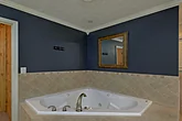 Jacuzzi tub in Master Bath in 8 bedroom rental