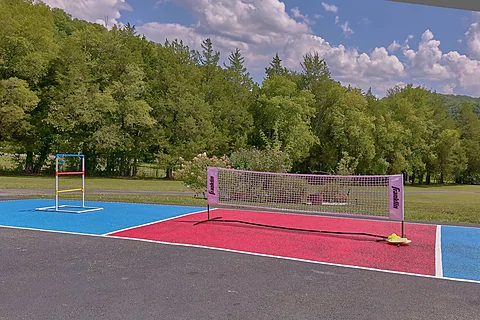 8 bedroom luxury cabin with pickle ball court - The Oasis