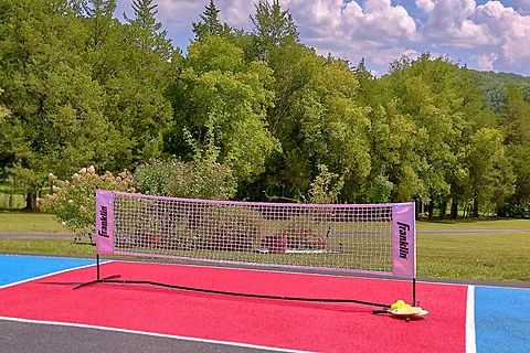 Pickle ball court at 8 bedroom cabin rental - The Oasis