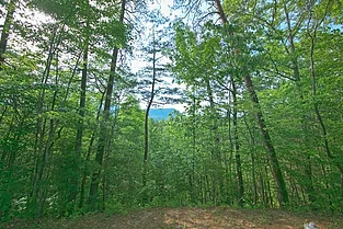 Featured Property Photo