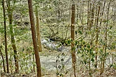 Nearby Creek