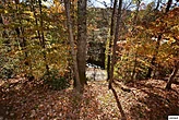 Fall View