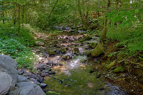 Private 2 Bedroom Cabin in Gatlinburg near Creek - Webb Creek Hideaway