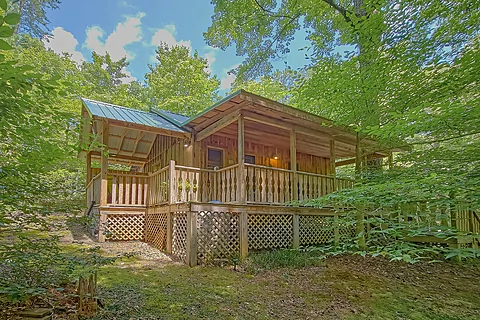 1 Bedroom Honeymoon Cabin - Wild Mountain Laurel