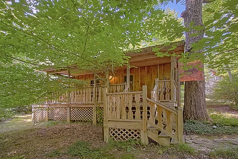 Cozy Wears Valley Cabin - Wild Mountain Laurel